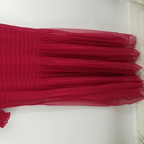 Zara Cranberry Dropped Waist Sheer Overlay Dress with Slip - Picture 12 of 13